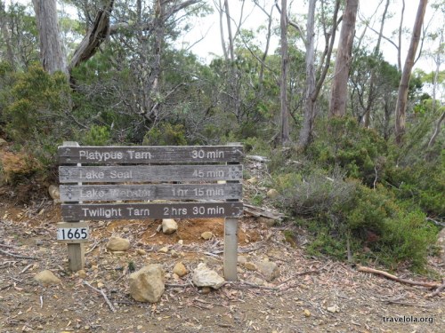 Sign post for various treks around Mt Field National Park, Tasmania